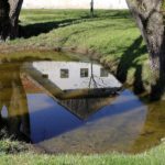 Biotope Pond Garden Pond Water  - WFranz / Pixabay
