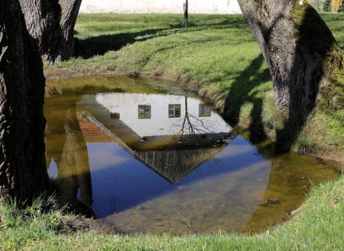 Biotope Pond Garden Pond Water  - WFranz / Pixabay