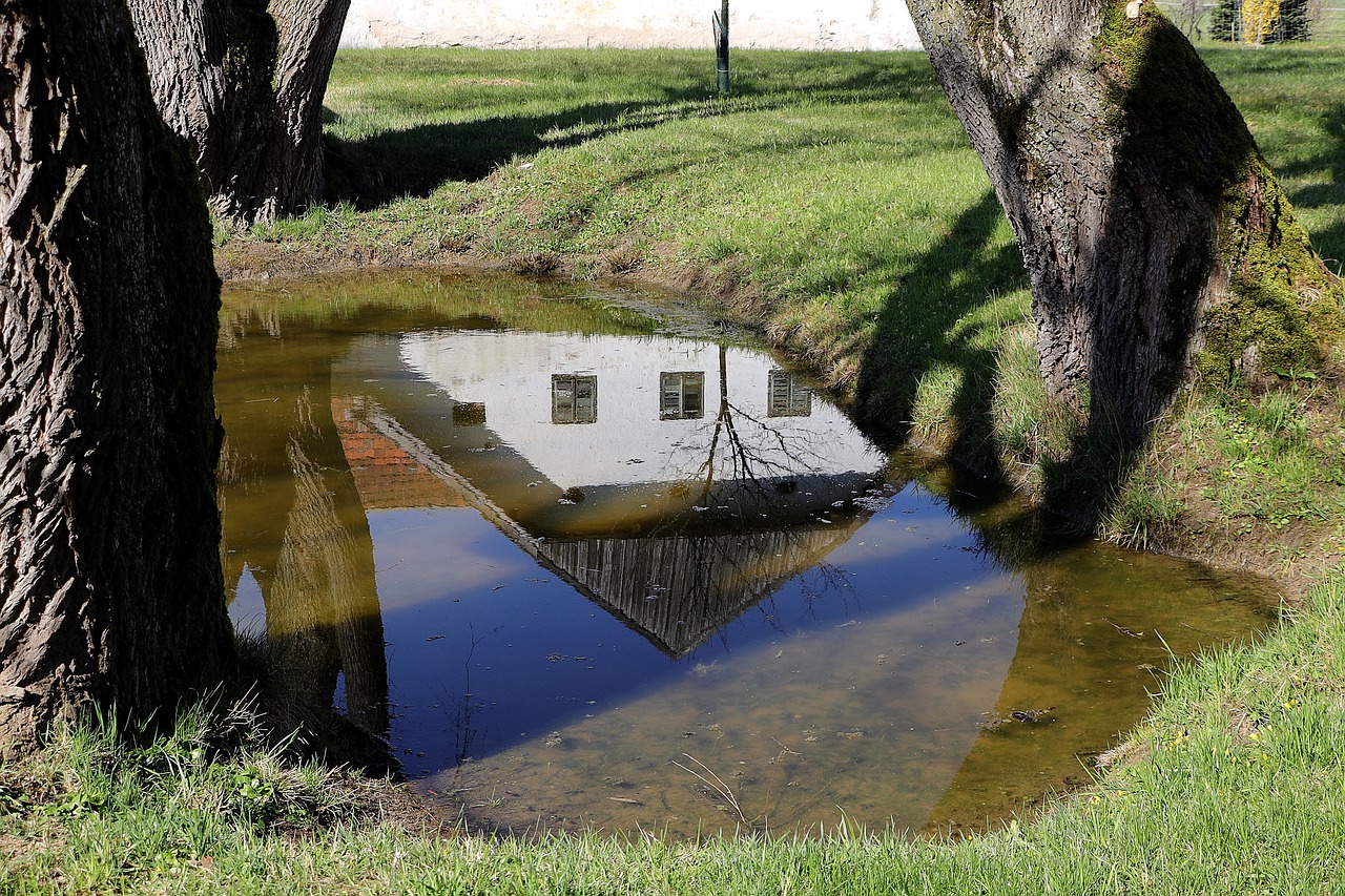 Biotope Pond Garden Pond Water  - WFranz / Pixabay