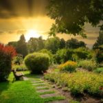 Park Garden Bench Trees Bushes  - fietzfotos / Pixabay
