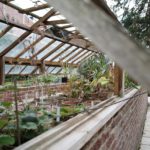 Greenhouse Garden Plants  - EmileKerss / Pixabay