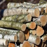 Firewood Birch Pile Bark Logs  - artellliii72 / Pixabay