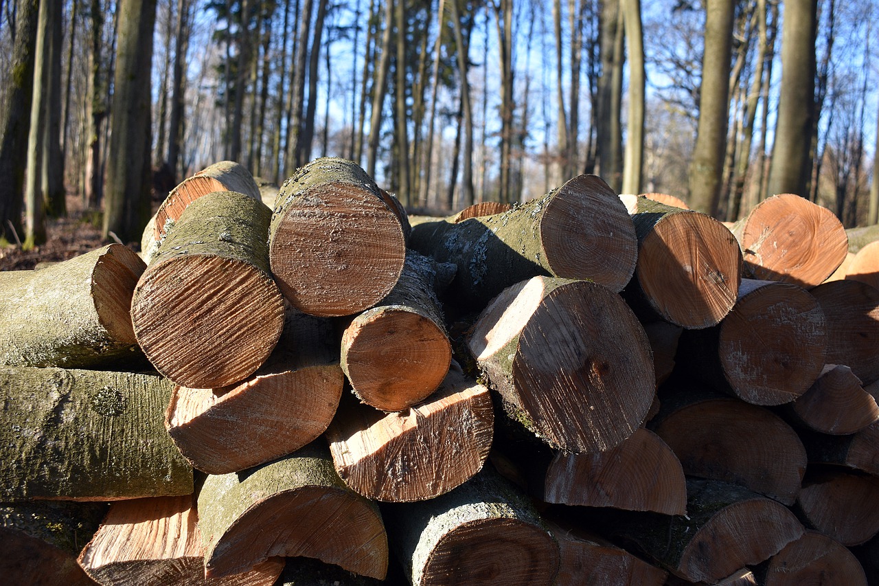 Wood Logs Bole Firewood - artellliii72 / Pixabay