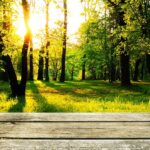beautiful nature, hd wallpaper, nature background