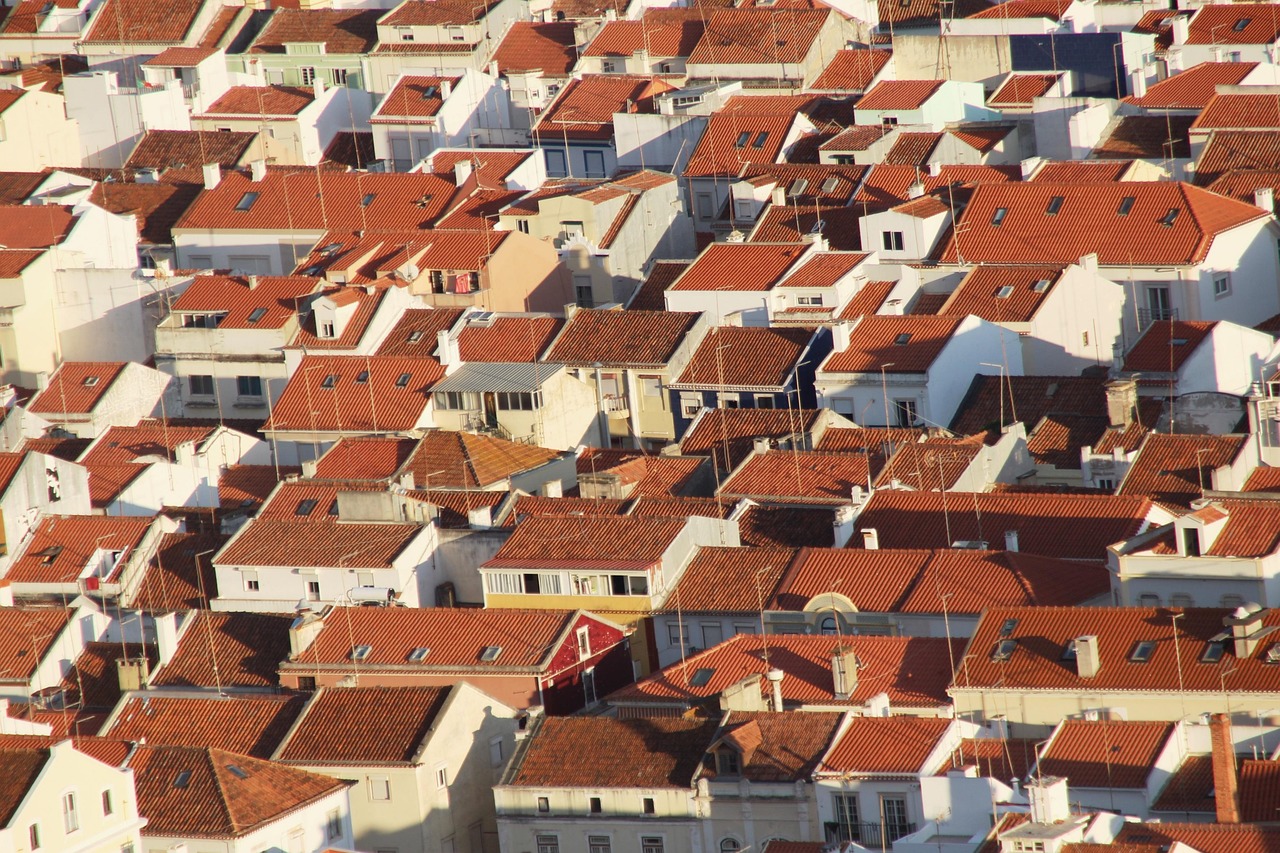 roof, house, roofs, antenna, building, location, city, village, portugal, nazarè